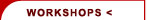 Corporate Workshops